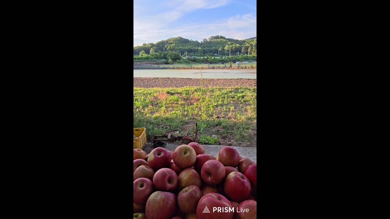농부삼촌2 라이브 방송