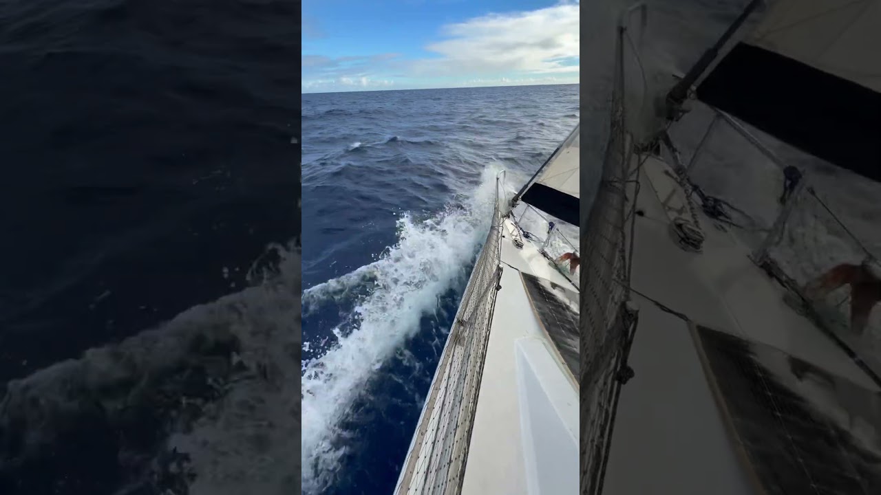 #sal a bordo do Balanço , voltando para #cabanga em Recife