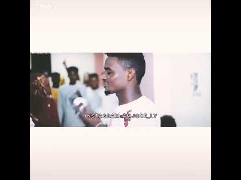 علي كايرو العاملين اصحابك 