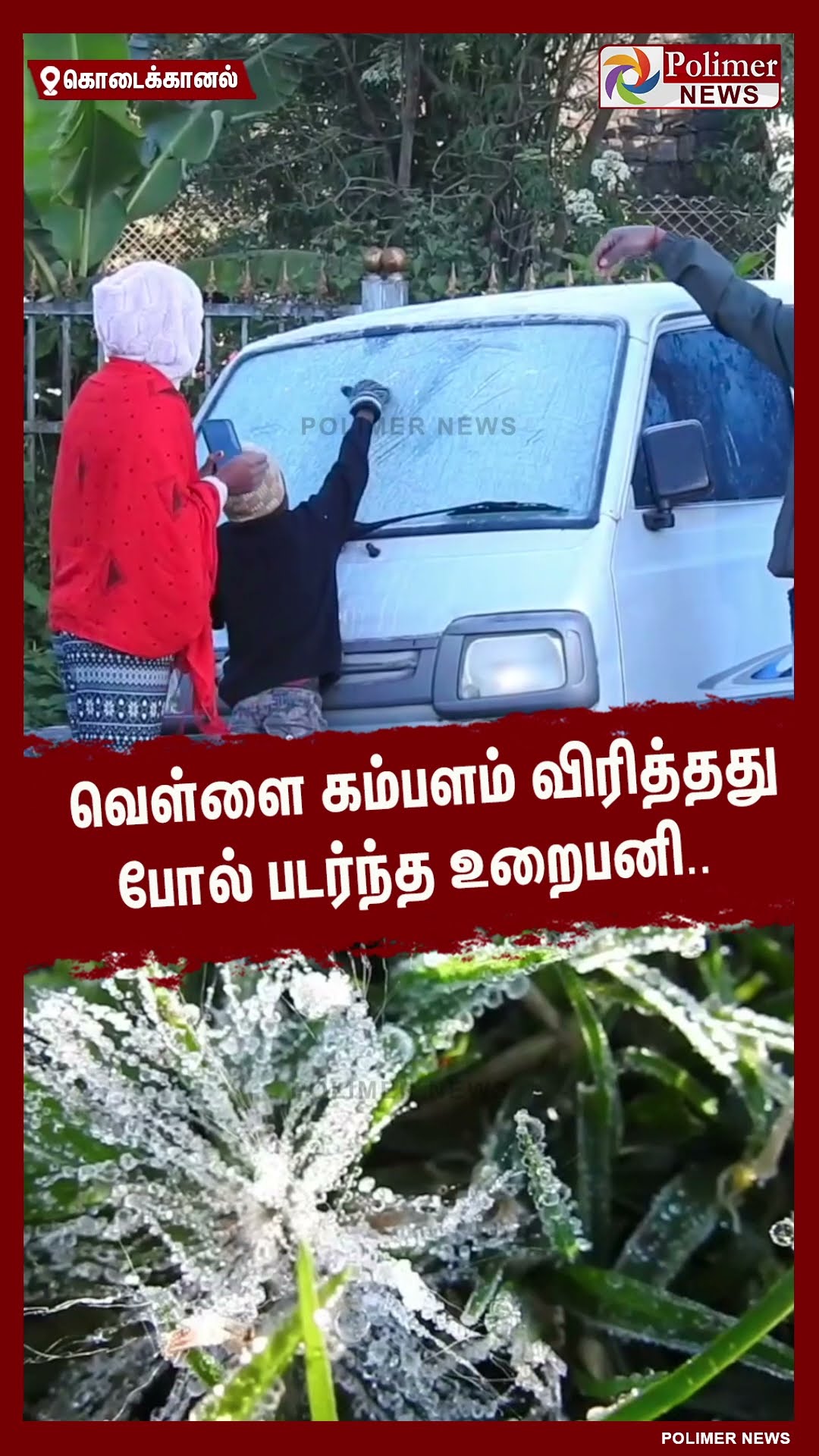வெள்ளை கம்பளம் விரித்தது போல் படர்ந்த உறைபனி.. #shorts | #kodaikanal