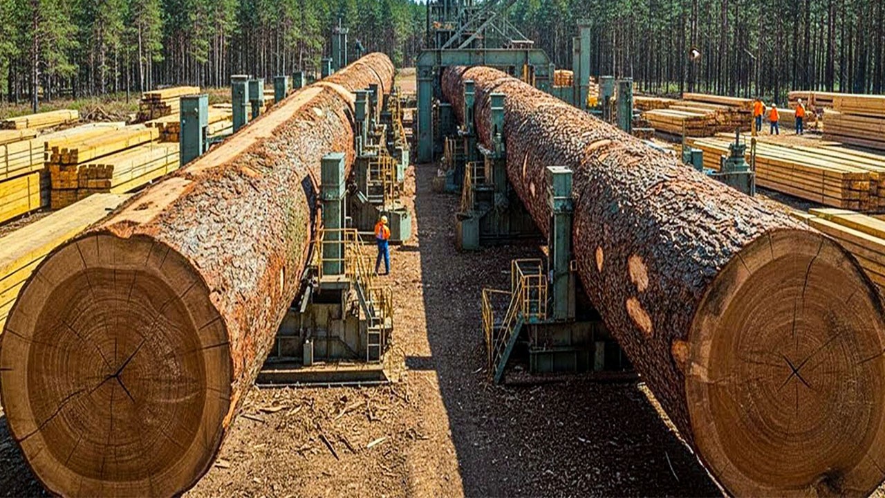 Inside America's Premier Sawmills High-Volume Boards Production | Incredible Power of Modern Mills