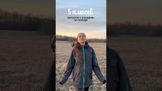 Какие плюсы у прогулок с лошадьми на свободе ? Открываем секреты 🙊 #horsemanship #horse #лошади