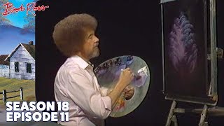 Bob Ross - Enchanted Forest (Season 18 Episode 11)