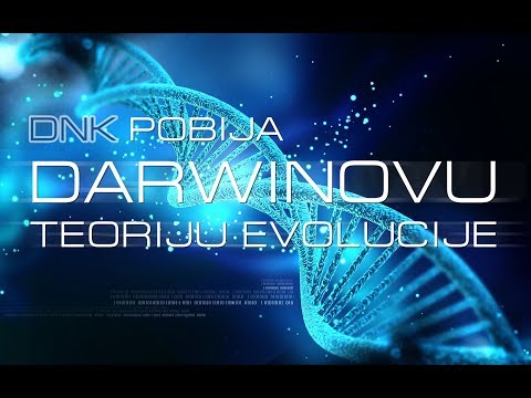 Video: Presenečenje Evolucije: Ljudje Spojeni Z Virusi