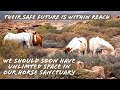 WE CANT BELIEVE THAT THIS HAS BECOME POSSIBLE | Tenerife Horse Rescue