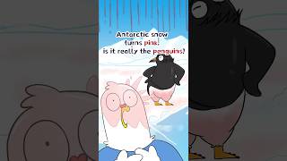 ๐งAntarctic snow turns pink, is it really the penguins? ๐งAntarctic snow turns pink, is it really the penguins?