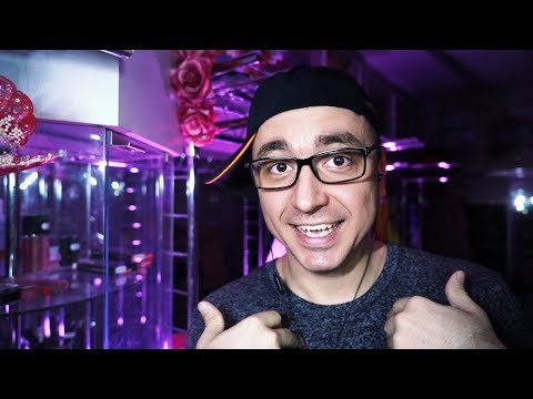 АСМР Ролевая Игра Самый Быстрый Гримёр