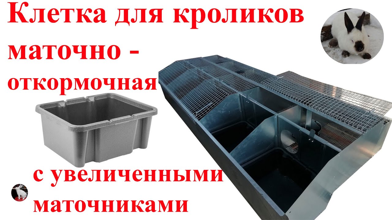 Клетка для кроликов с увеличенными маточниками.