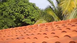 El Techo De La Casa Contra Sol