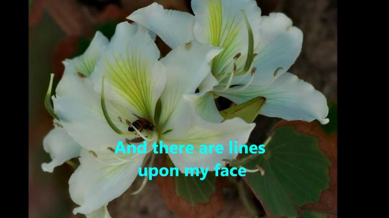 Beautiful in my Eyes by Joshua Kadison ( Lyrics ) YouTube Beautiful in my Eyes by Joshua Kadison ( Lyrics ) YouTube