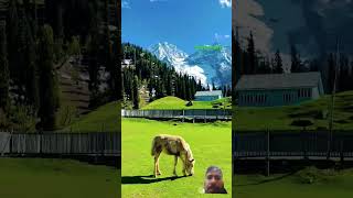 #sonmarg #nature #jktourism #love #kashmirdairies #travel #kashmiritourism #[JK21A3376] TARVELLER