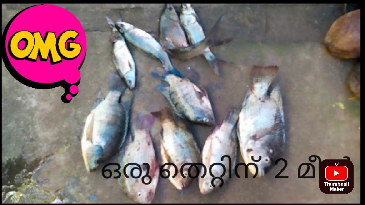 sling shot fishing kerala Malayalam fishing slingshot fishingkerala