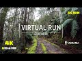 Virtual run wilderness trail 4k  virtual running treadmill workout  virtual scenery  tasmania