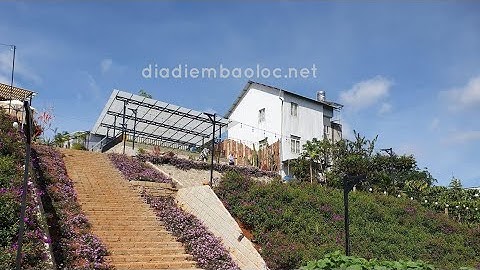 The Fern bảo lộc - Một quán caffe xinh xắn nằm ngay trung tâm P2 Tp Bảo Lộc #saigontoday