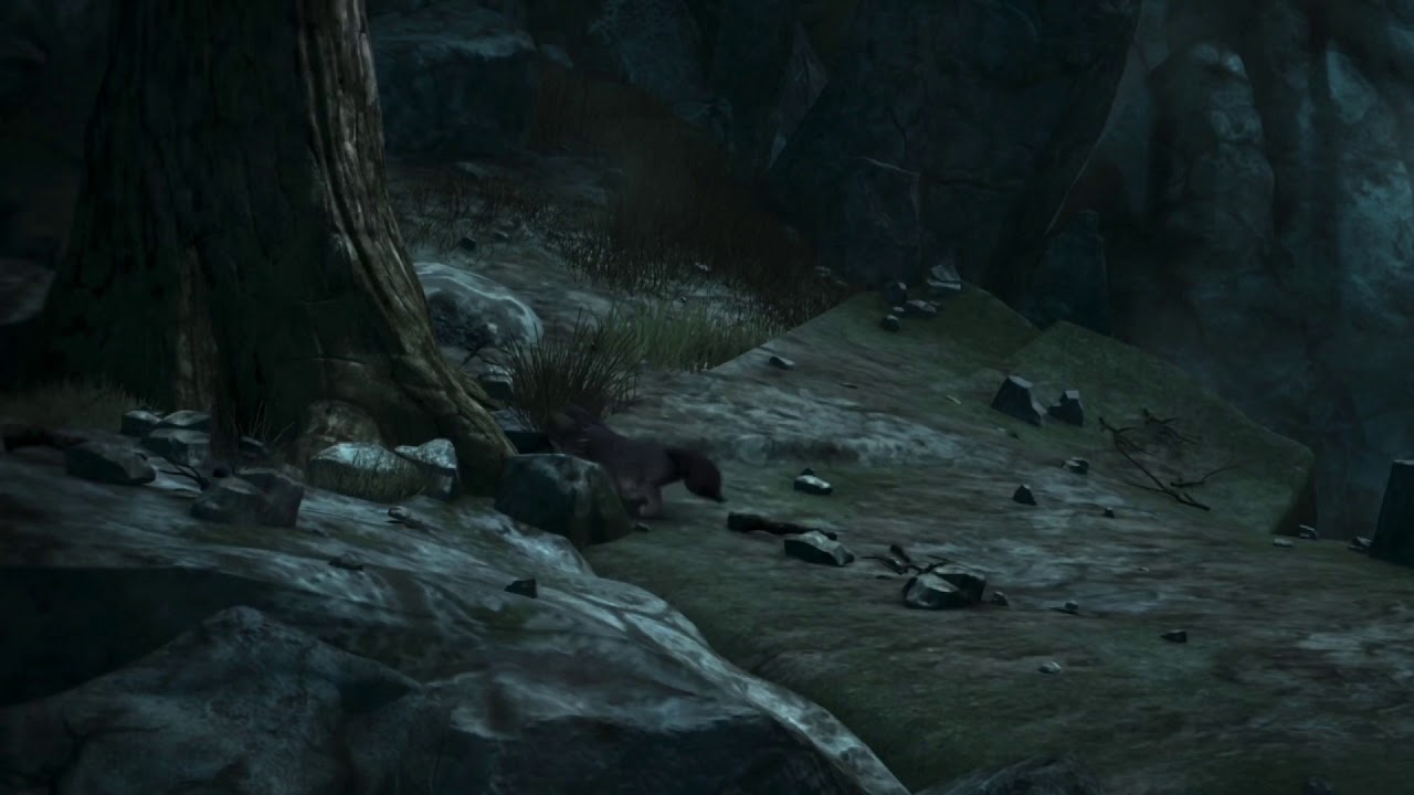 Alpha and Omega- Runt meets Daria - YouTube