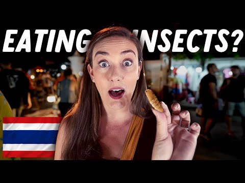 Video: De bedste steder at shoppe i Chiang Mai