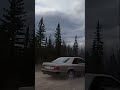 V8 Benz Rips