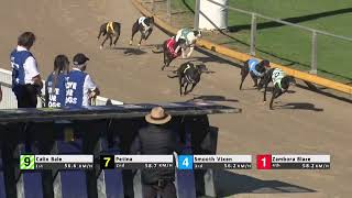 Gawler-02082023-Race-8