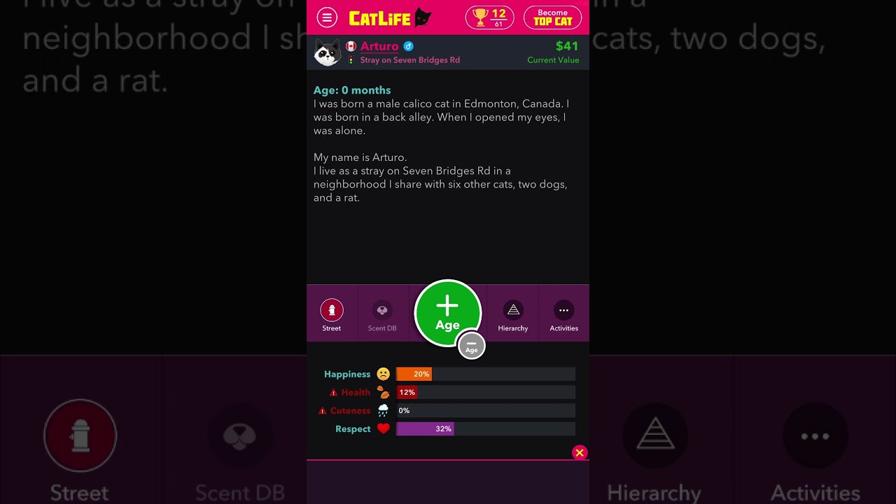 CatLife: BitLife Cats Download APK for Android (Free)