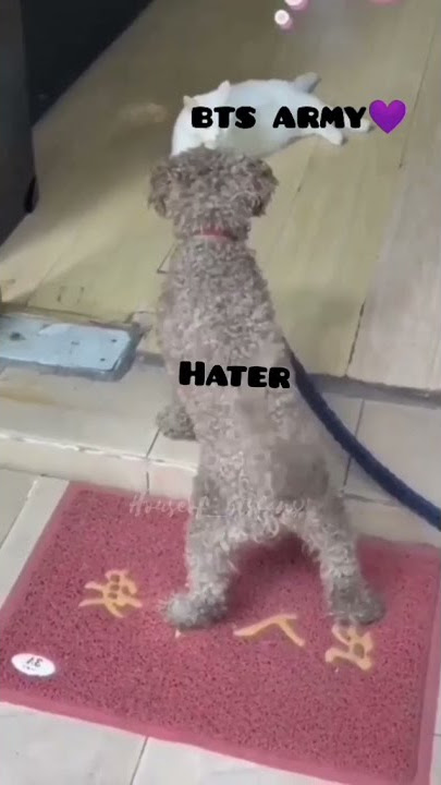 BTS Army♥️♥️ Vs  Haters || BTS WhatsApp status ||  #thebtszone || #bts || #btslover || #btsarmy ||
