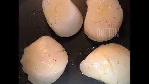 Culinary video #5 fish and shellfish