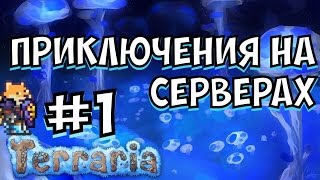 ПРИКЛЮЧЕНИЯ НА СЕРВЕРАХ // TERRARIA - Android - IOS // #1 ПРИКЛЮЧЕНИЯ НА СЕРВЕРАХ // TERRARIA - Android - IOS // #1