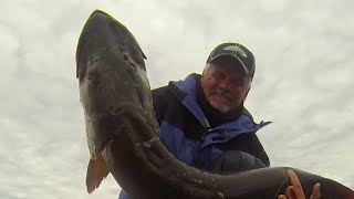 Eagle Lake Canada 2014 Musky/Muskie fishing Highlights musky fishing 2014