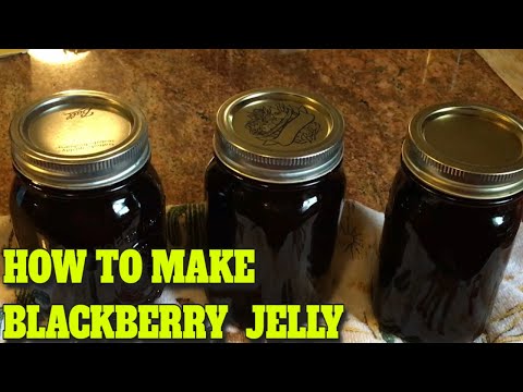 Video: Australian Blackberry Jelly