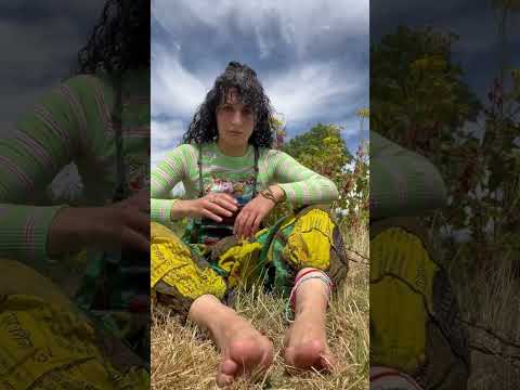 Grounding amongst the red berries