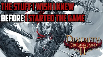 Divinity Original Sin 2: 15 Tips and Tricks I Wish I Knew Before I Started Playing