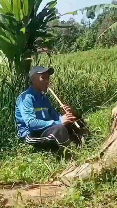 Adem banget suling Sunda merdu