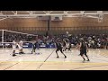 Long Beach vs UCSB Volleyball Highlights 2019