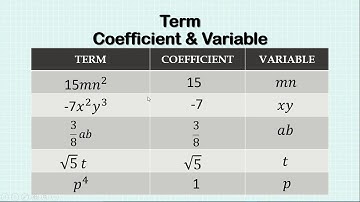 BMC Edu. Urdu Maths Std 7th Chp Algebraic Expressions and Operation on them.