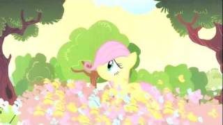 Love Like Fluttershy