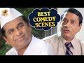 Hindi Comedy Videos | Brahmanandam Comedy | Raja | Ms Narayana | Hindi Comedy Movie Scenes