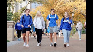 With steady wings, Bluejays fly