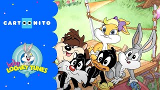 Baby Looney Tunes | Autorennen | Cartoonito