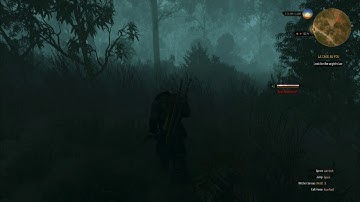 The Witcher 3 - Into the Woods (Magic Spells/Mods/2019)