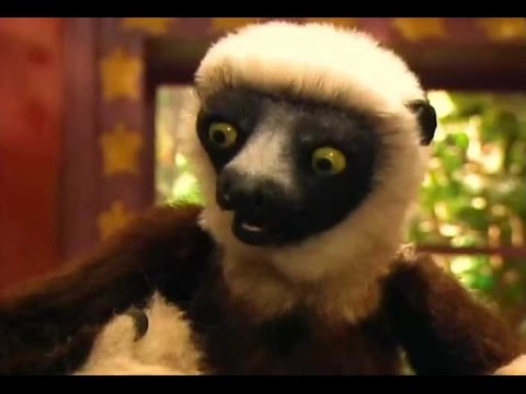 Zoboomafoo - Dia Del Lemur ( Español Latino) - YouTube