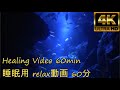 [癒しBGM]すみだ水族館2 Sumida Aquarium2[Healing BGM]