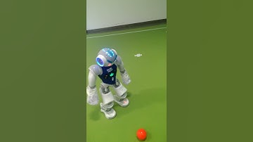 Nao following the ball