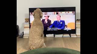 (Mostly) Eleanor Watching The Tender Trap (1955)