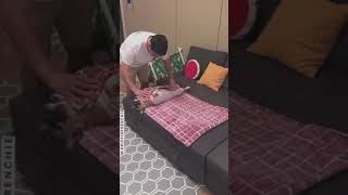 Smart Dog and cat cute #shorts #8281