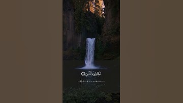 سورة الفاتحة ❤️ #المصحف #اكسبلور #quran #تلاوة_خاشعة #fypシ゚viral #explore #foryou