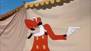 Doloress Narrated Sneezes