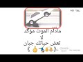 مادام الموت مؤكد لماذا تعيش حياتك جبان