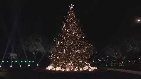 It's lit! The National Christmas Tree shines brightly at the White House