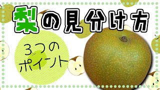 【雑学・豆知識】みずみずしい梨の見分け方