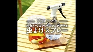 米酢・トウガラシ・ニンニクで作る 虫よけスプレー - sanagarden
