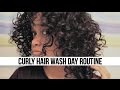 Curly Hair Wash Day Routine | Short 3B Hair